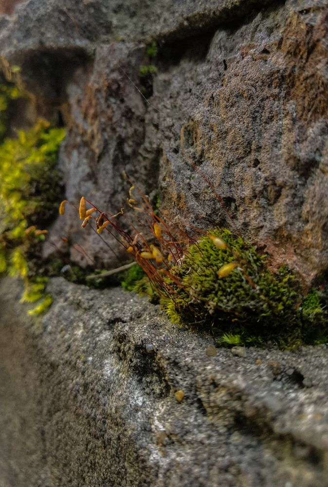 Photograph by Влад Апанасов