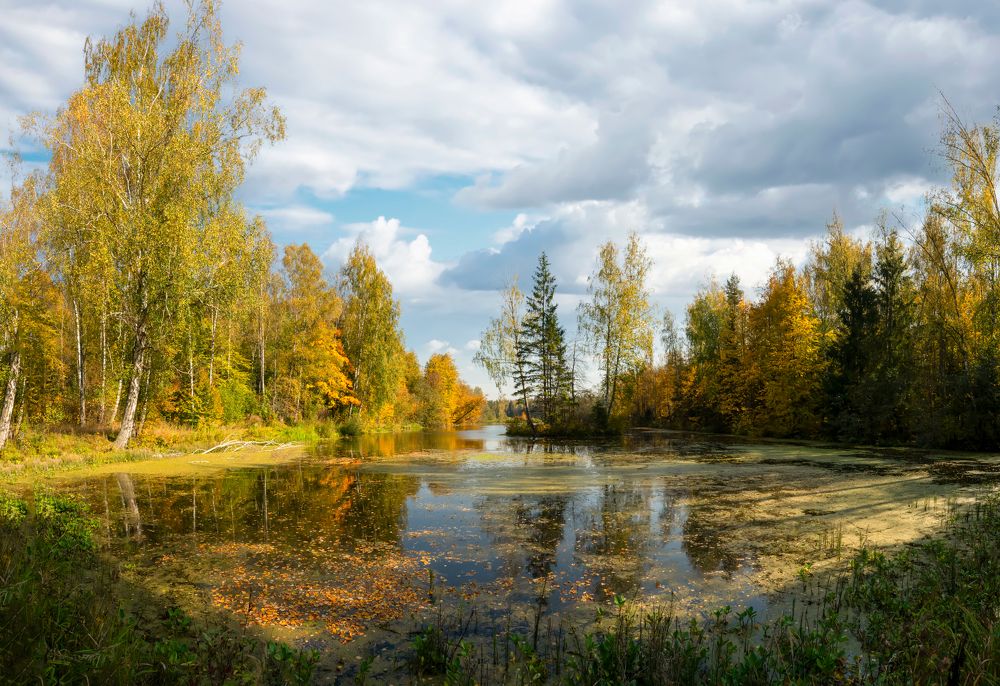 Photograph by Олег Пученков