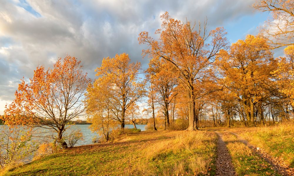 Photograph by Олег Пученков