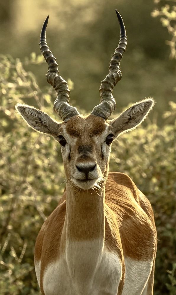 Photograph by Muralitharan M