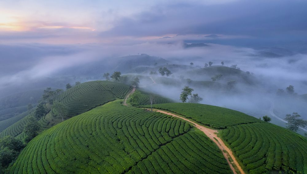 Фотография автора Pham Nga