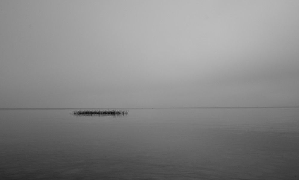 Photograph by Андрей Вестмит