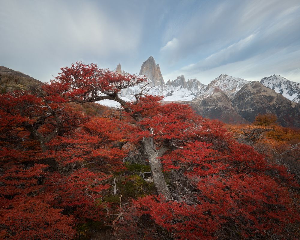 Photograph by Рунова Татьяна