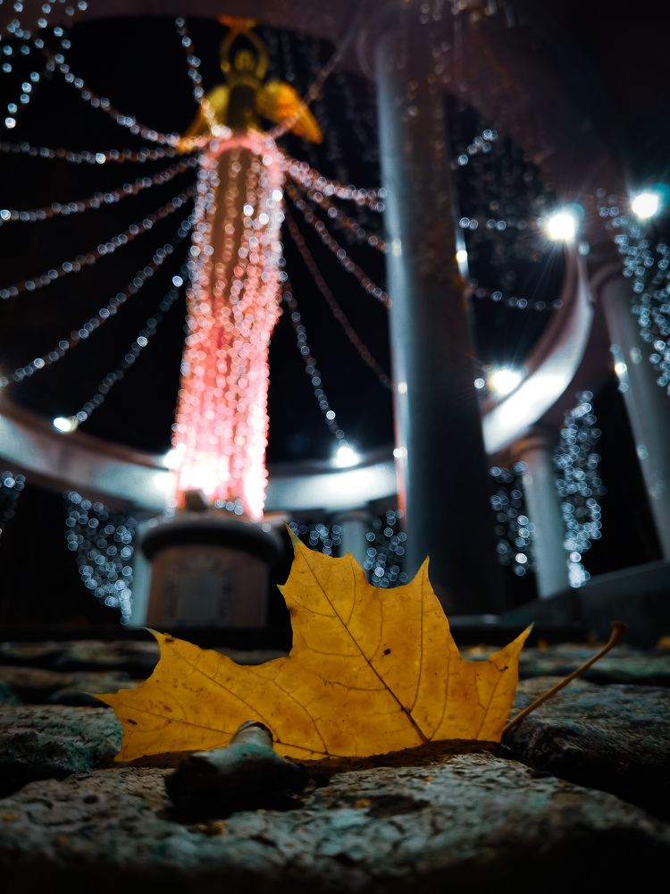 Photograph by Влад Апанасов