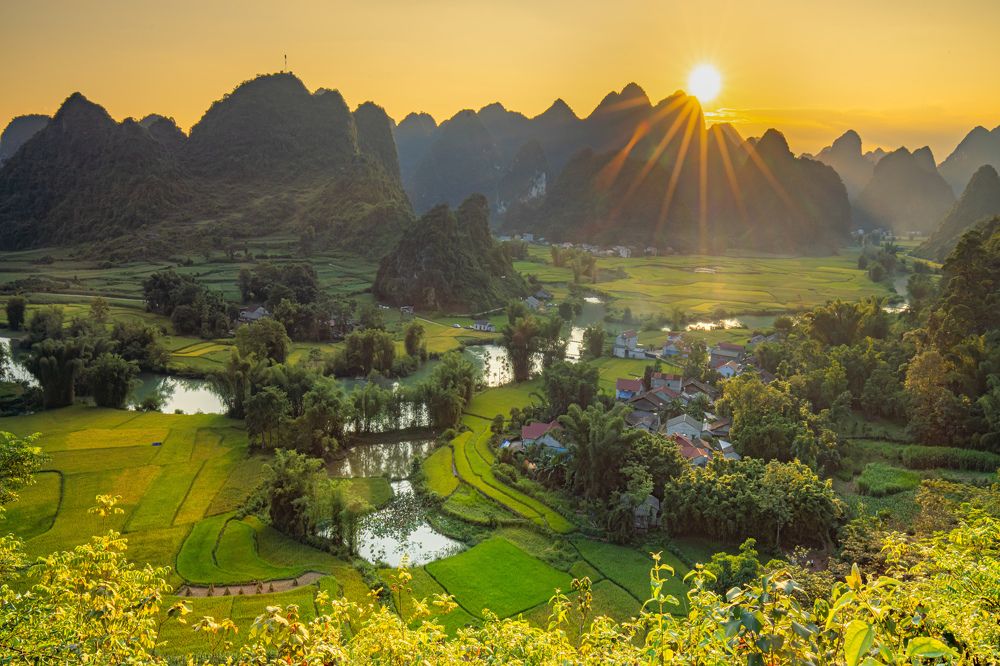 Фотография автора Pham Nga