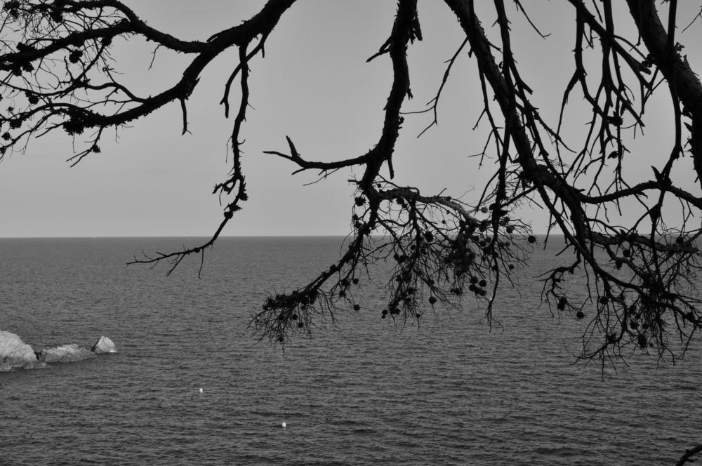 Photograph by Marina Moiseeva