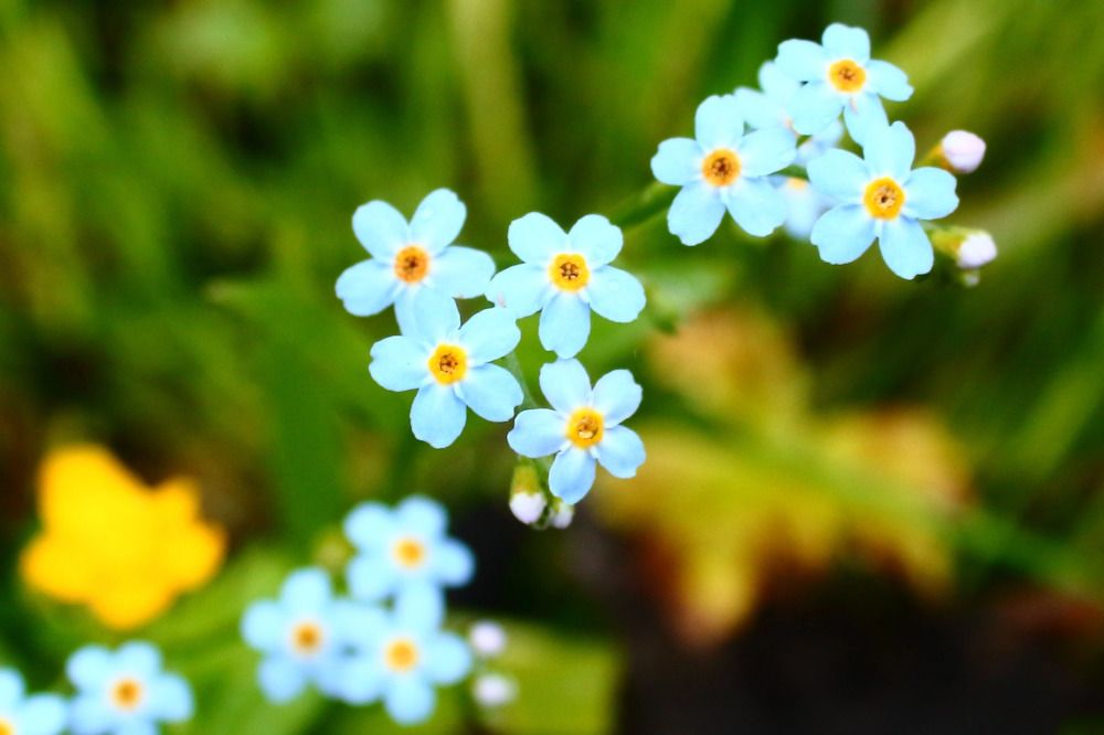 Photograph by Елена