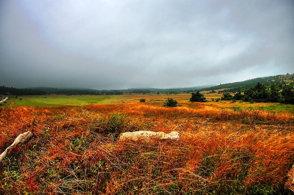 Photograph by Александр Кудрявцев