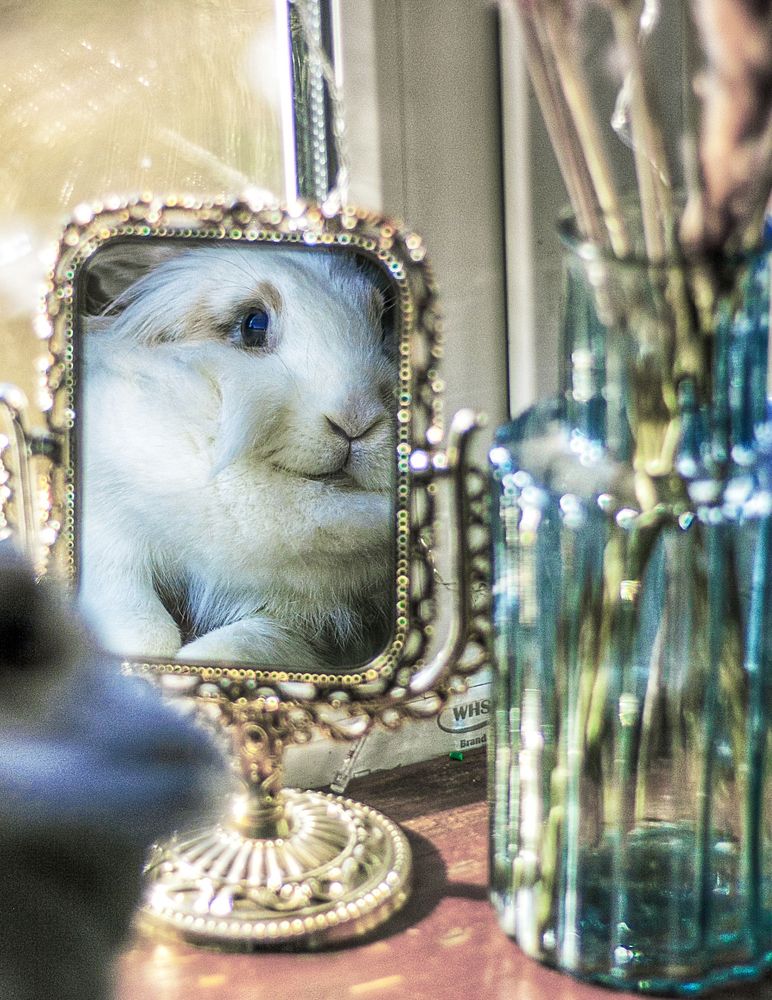 Photograph by Надежда Иголкина