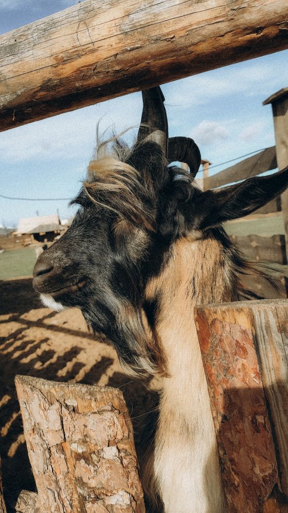 Photograph by Анастасия Черкасова