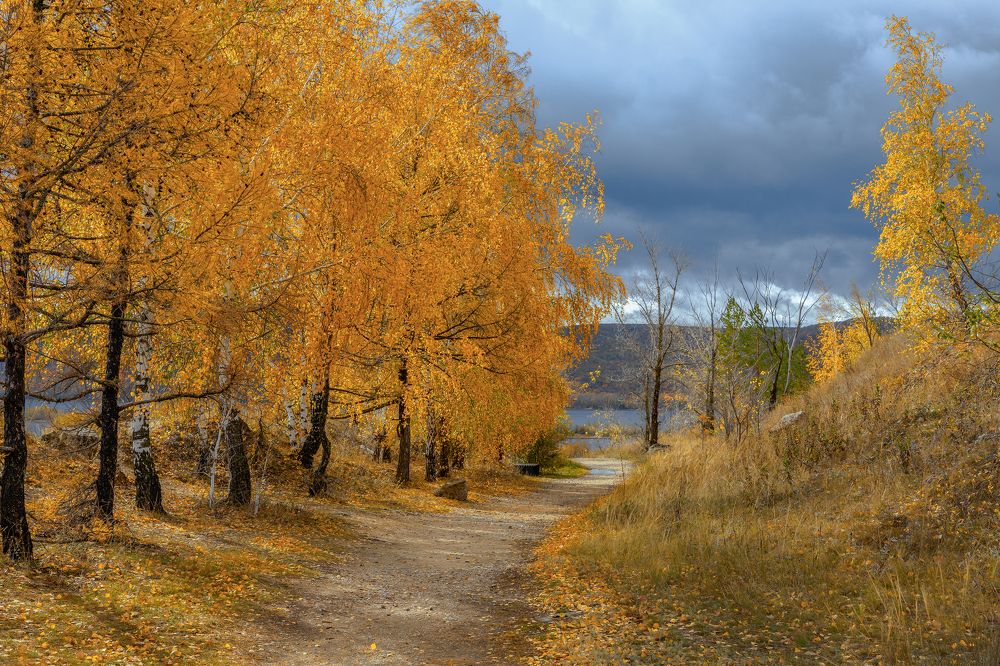 Золото октября