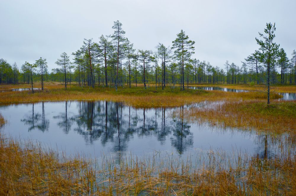 Photograph by Светлана Муравьева