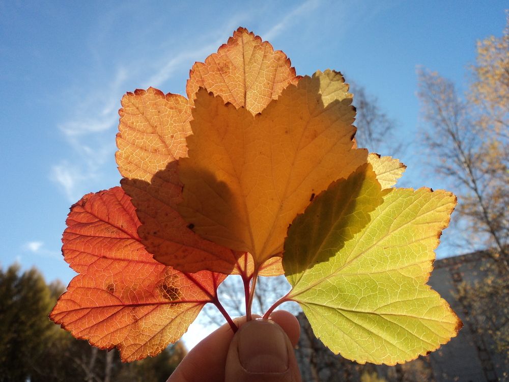 Photograph by Михаил Мархинин