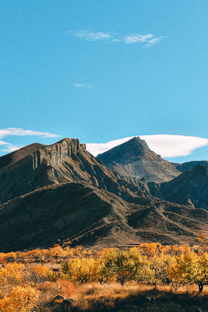 Photograph by Королева Екатерина