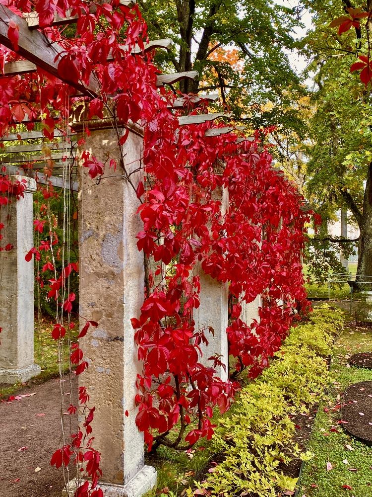 Photograph by Елена Шкред