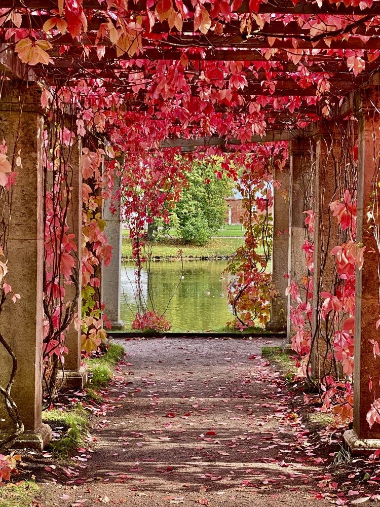 Photograph by Елена Шкред