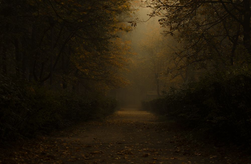 Photograph by Андрей Емельянов