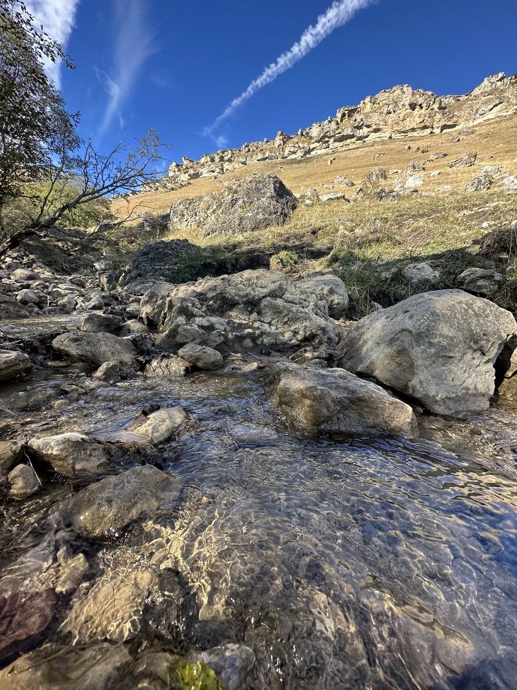 Photograph by Алексей Поляков