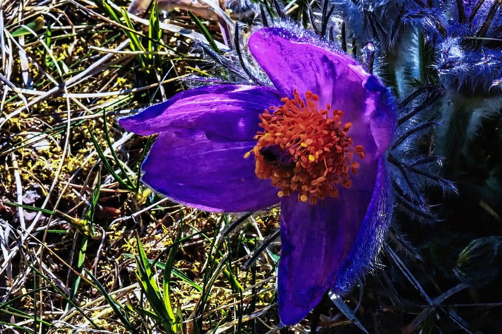 Photograph by Jozef Potocký