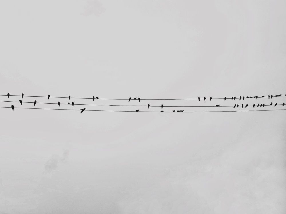 Photograph by Королева Екатерина