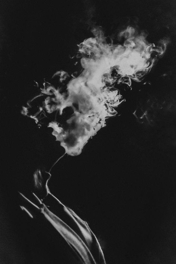 Photograph by Королева Екатерина