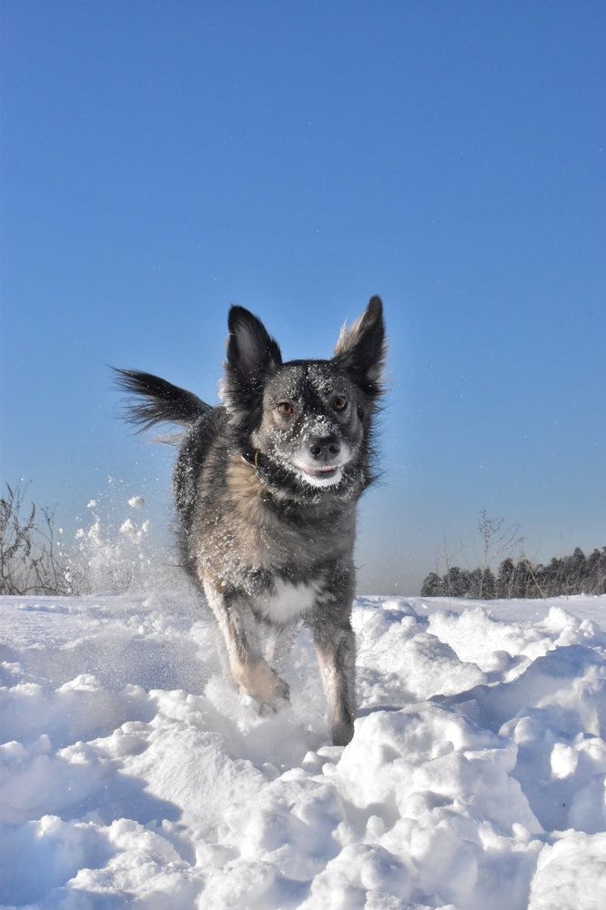 Photograph by Королева Екатерина