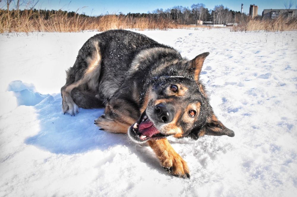Photograph by Королева Екатерина