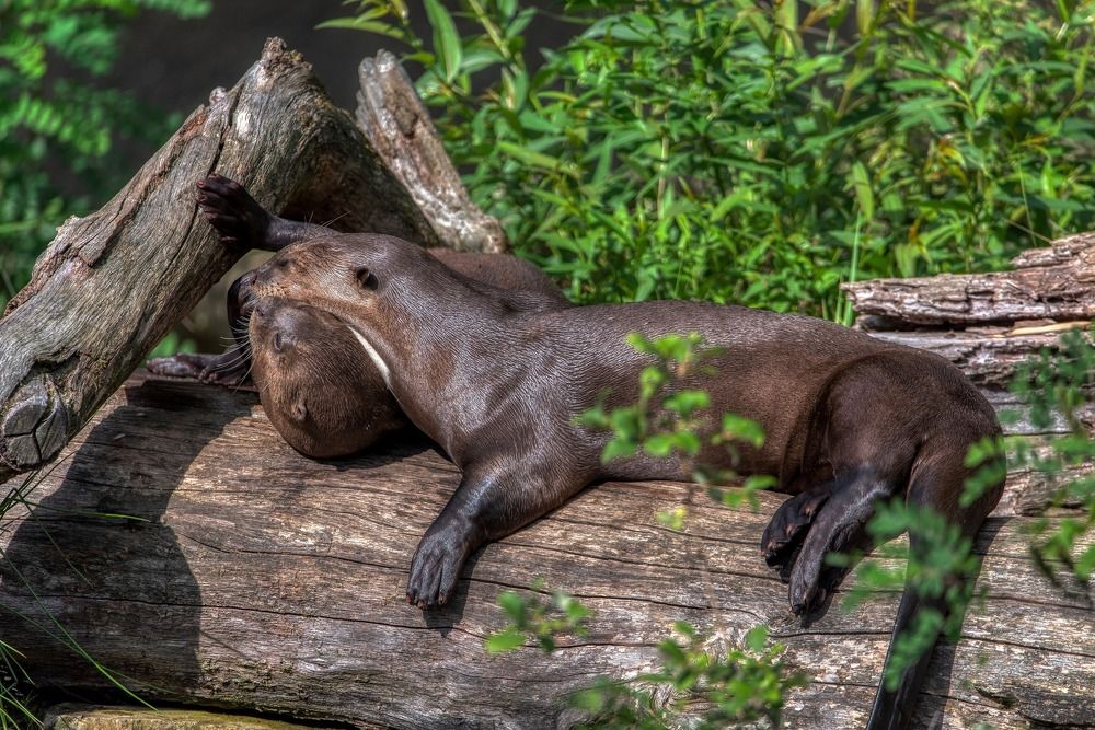 Photograph by Aleš Maučec