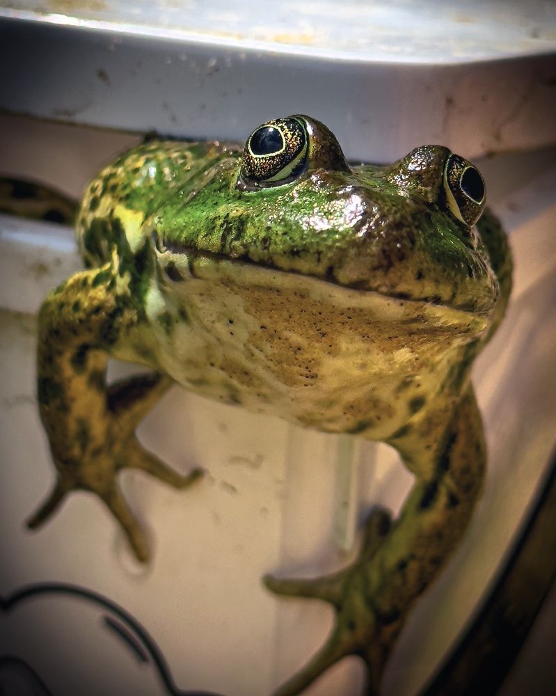 Photograph by Evgenia Privalova