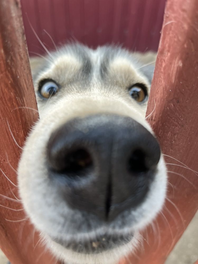 Photograph by Ольга Томашевич