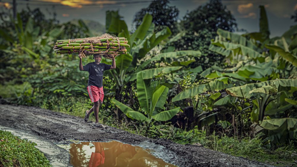 The helpful little village boy…