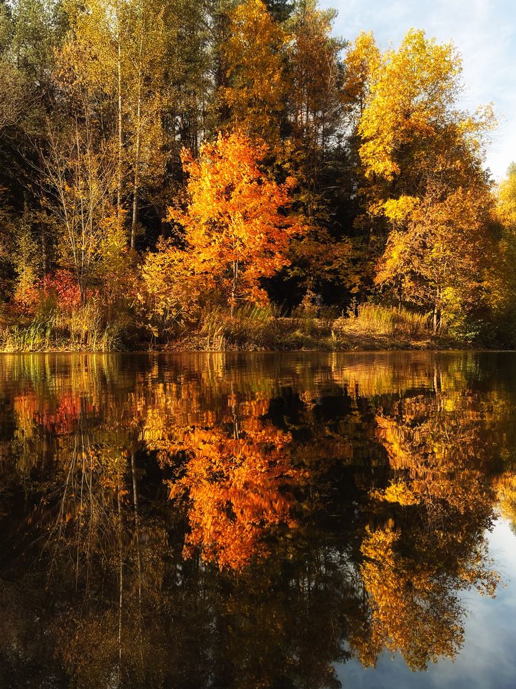 Photograph by Ольга Томашевич