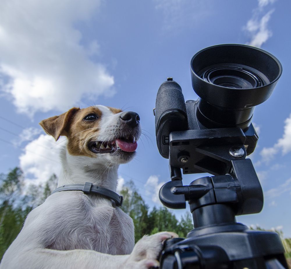 Photograph by Роман Кудрявцев