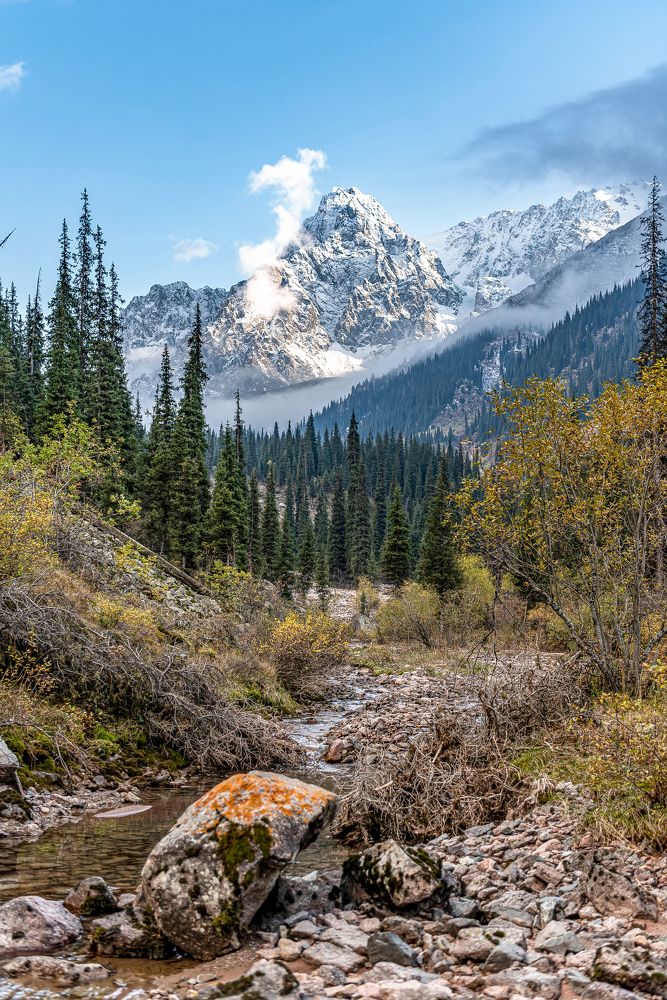 Photograph by Алексей Торлопов