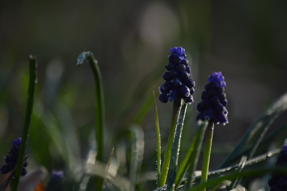 Photograph by Анна