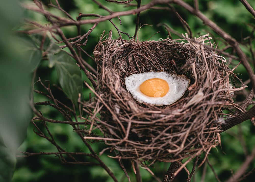 Photograph by amin roshan afshar