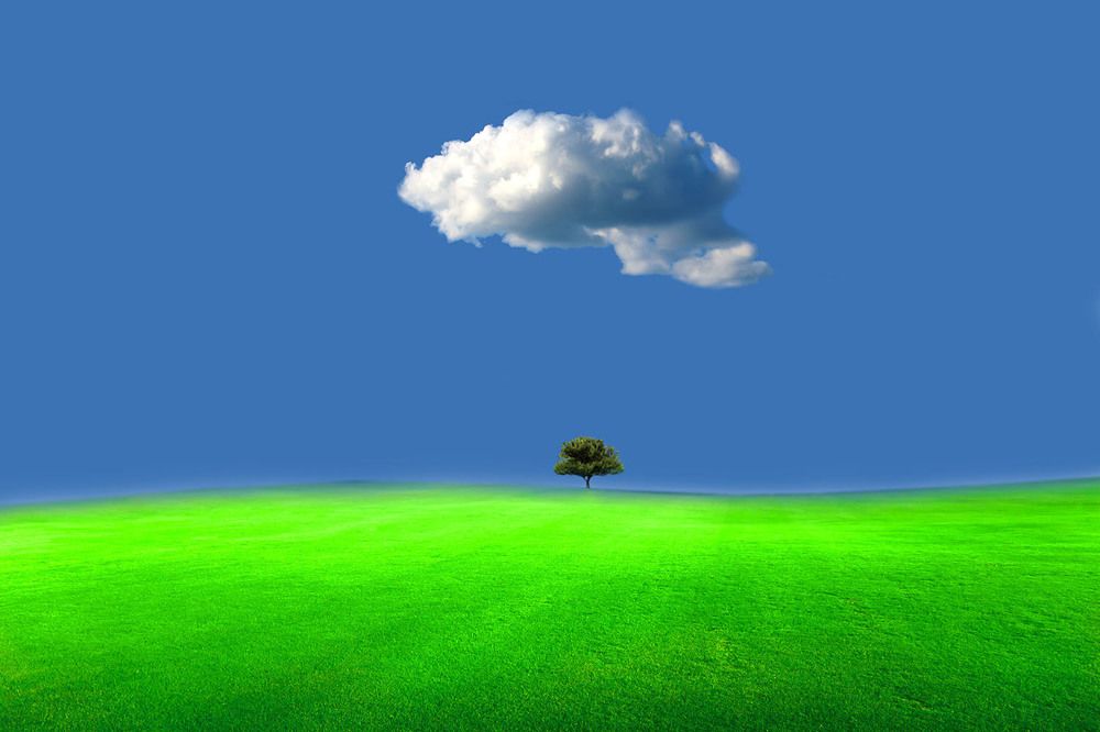 Photograph by ali naghmachi