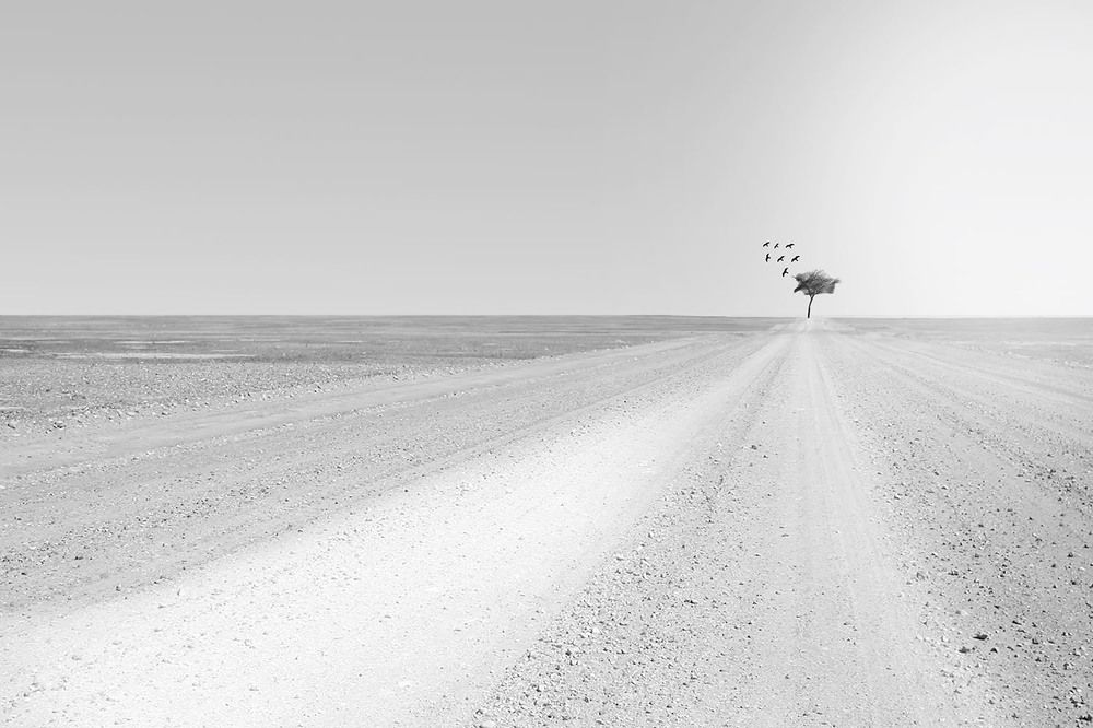 Photograph by ali naghmachi