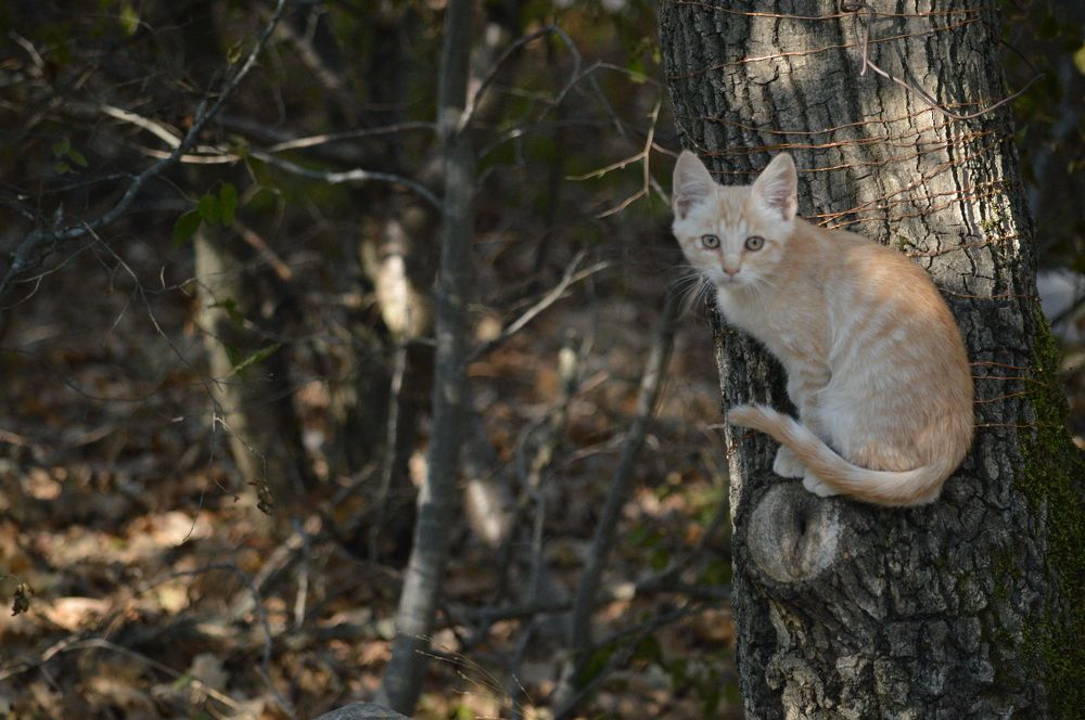 Photograph by Анна