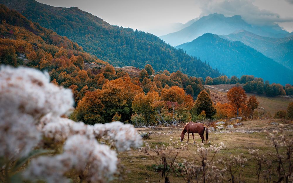 Photograph by Виктория Шаманова