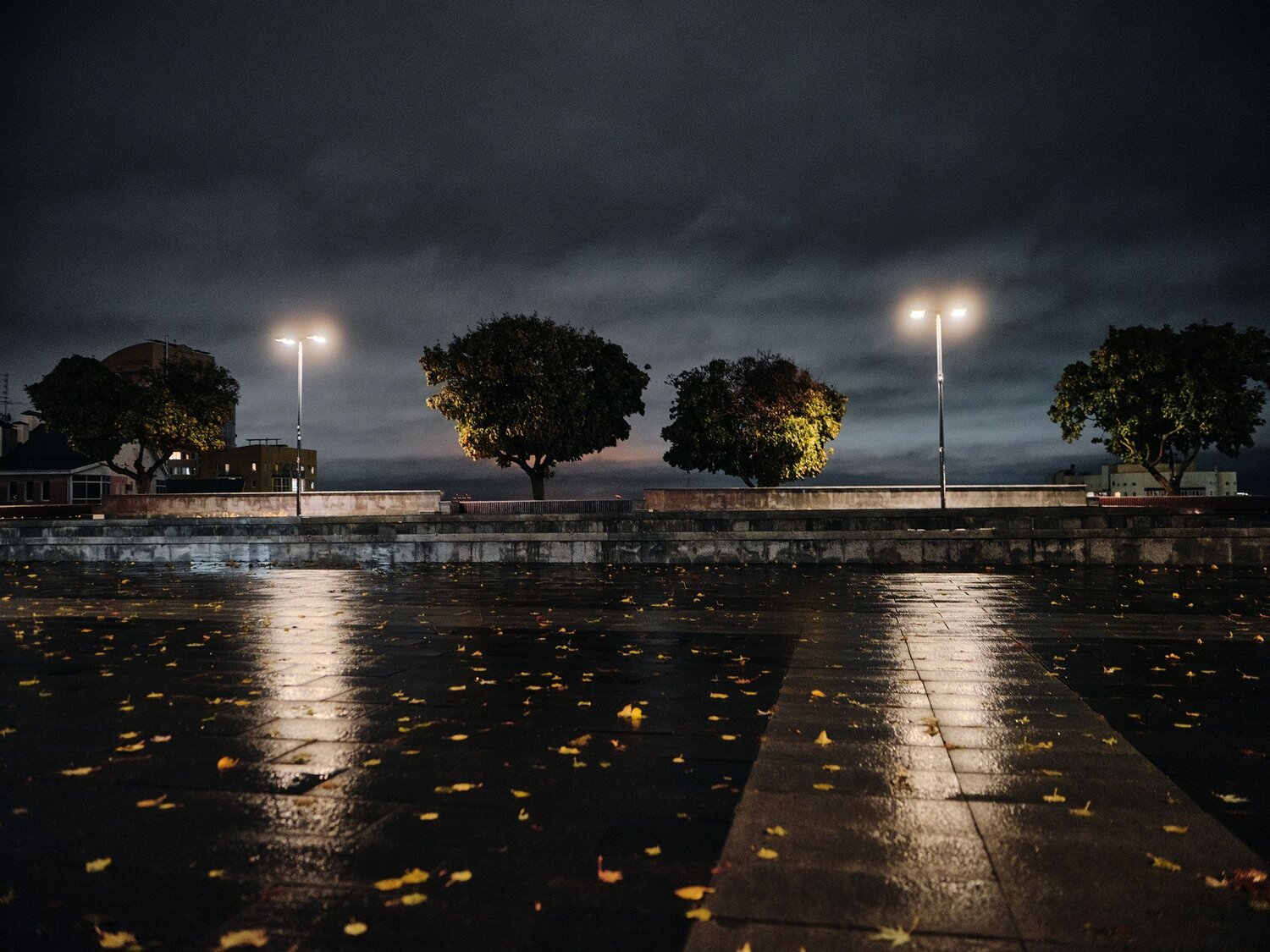 Photo #9697517