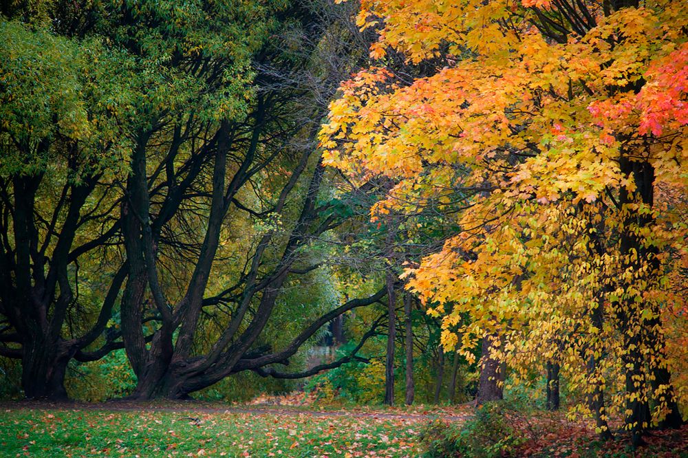 Photograph by Смирнов Алексей