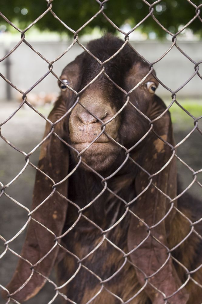 Photograph by Татьяна Шахматова