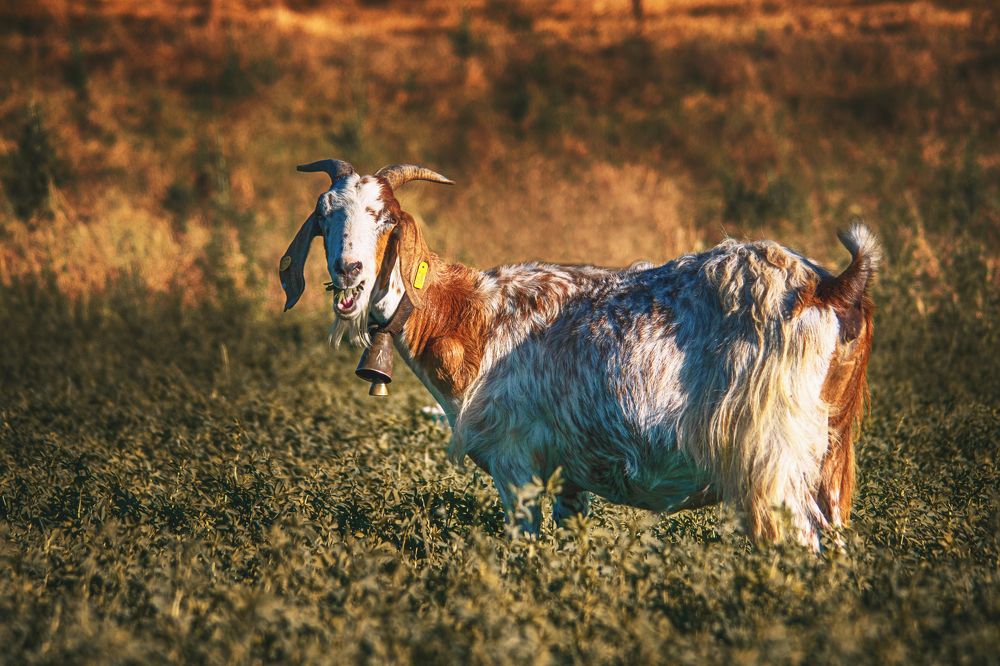 Photograph by Yulia Niki