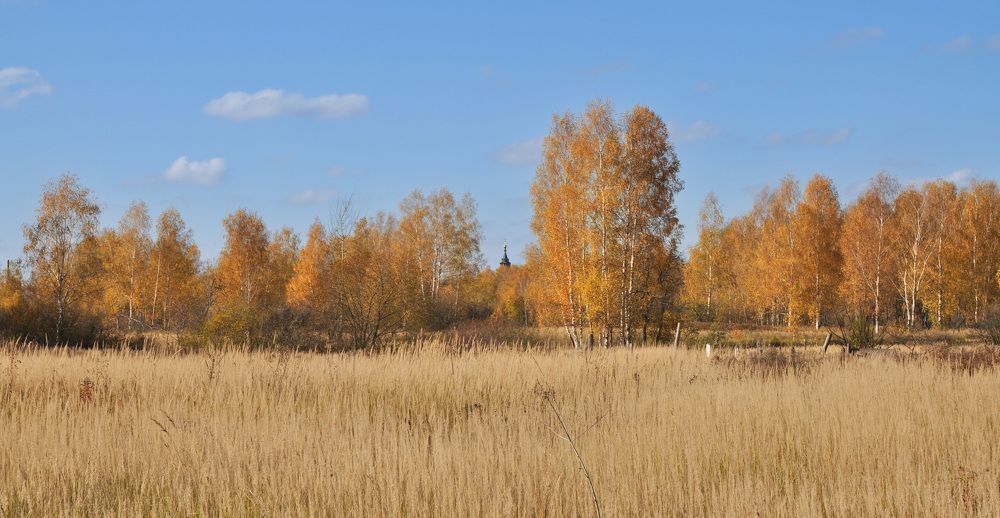 Photograph by Самородин Игорь
