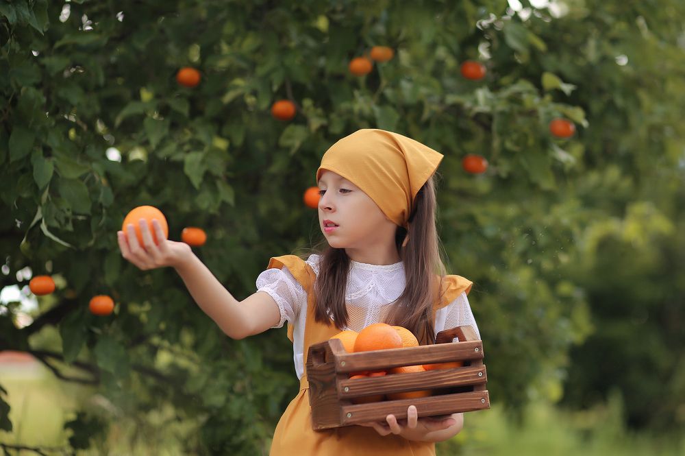 Фотография автора Вера Пархимович