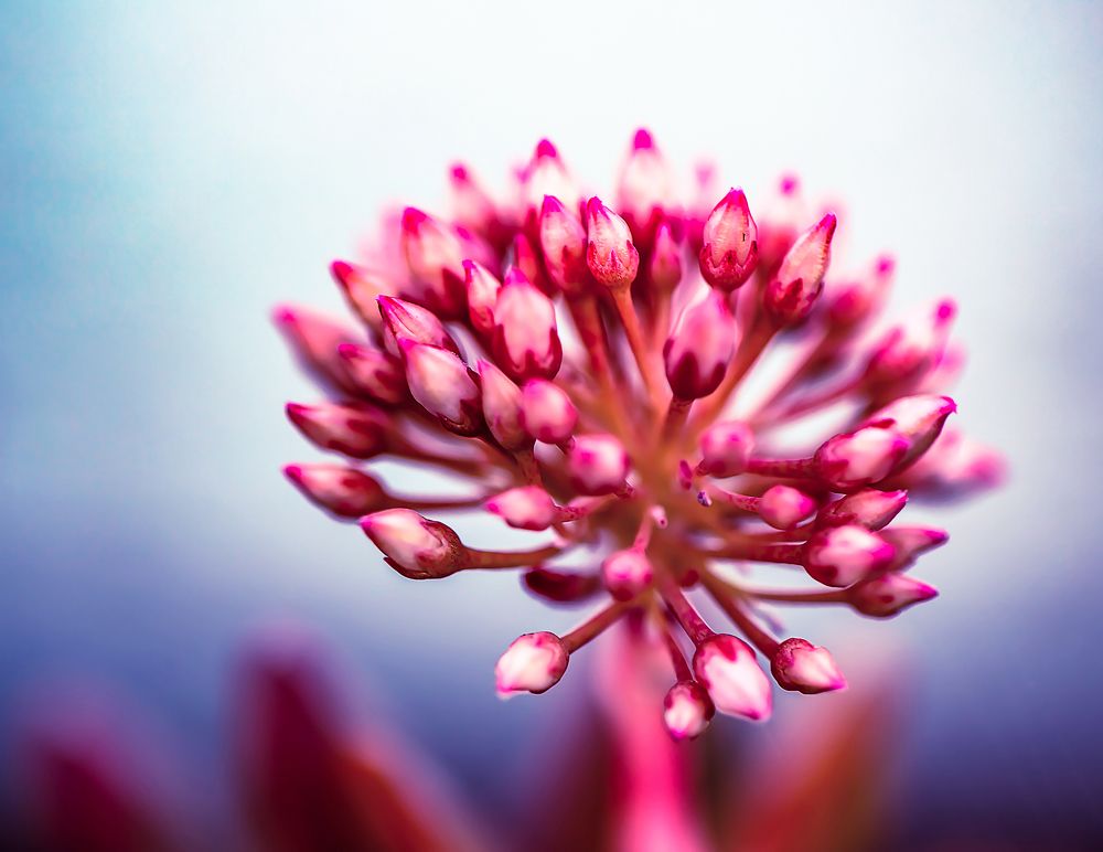 Photograph by Everton Medeiros