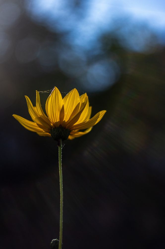 Photograph by Екатерина Мурсынина