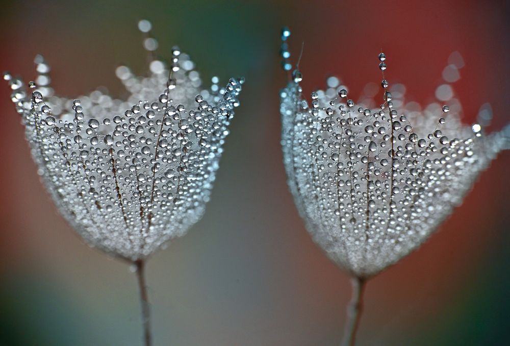 Photograph by Ganev Tsvetan