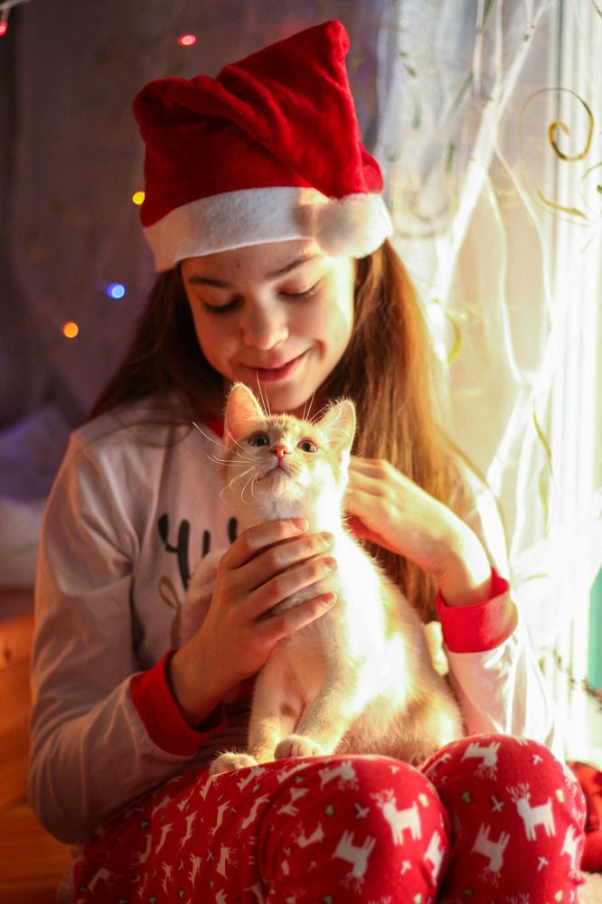 Photograph by Мария Степанова